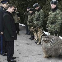 И немного юмора