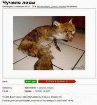 30 сногсшибательных надписей и объявлений