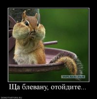 17 фотографий красивых бородатых мужчин, мимо которых невозможно спокойно пройти