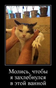 Пост для хорошего настроения