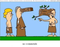 Котик злится, как мило!