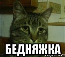 Цена врачебной ошибки