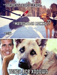 Картинки с надписями