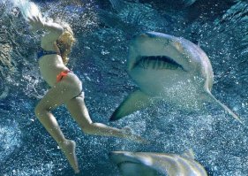 Драматичные, невероятные и безумно красивые фотопортреты под водой