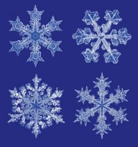 Сегодня вот просто идеальный день был на Урале - лёгкий пушистый снежок без ветра, ох, я всласть ими налюбовалась..
Вот эти все точно видела: