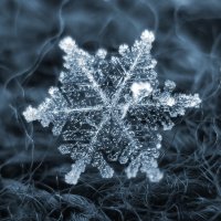 Сегодня вот просто идеальный день был на Урале - лёгкий пушистый снежок без ветра, ох, я всласть ими налюбовалась..
Вот эти все точно видела: