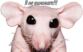 Крысы и мыши, счёт 0:0