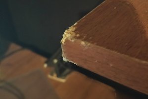 У меня дома нет растений!