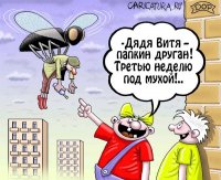 Мухи бывают разные