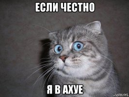 Крысы и мыши, счёт 0:0