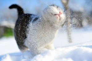 Зима - прекрасное время года
