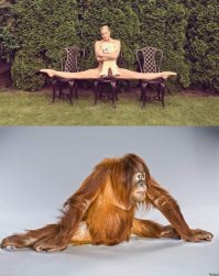 Эти знаменитости не стесняются раздеться на публике!