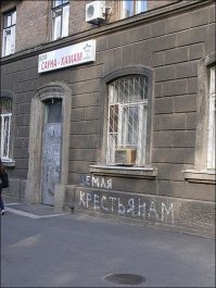Безумная порция уличной философии