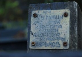 Безумная порция уличной философии
