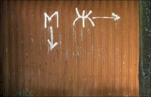 Безумная порция уличной философии