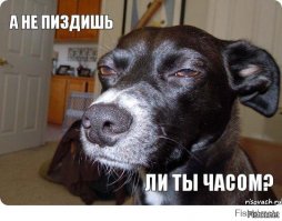В Германии мужчина заработал более 44 тыс. евро, сдавая одну и ту же бутылку