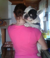 Его хозяйка не взяла в лес и он обиделся