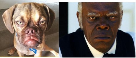 удивительное сходство)