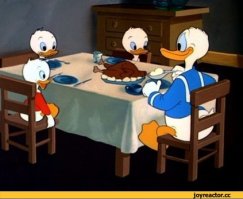 Цыпленок вылупился из яйца: что  дальше?