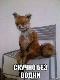 Игрок в крикет и актриса поженились на индийский манер