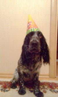 А моей Марсильезе, а по русски Масяне, исполнился год!