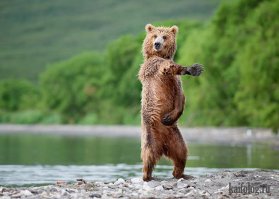 Кто наловил много рыбки? Я!