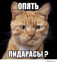 5 исторических примеров, когда гомосексуальность считалась нормой