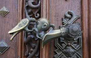 Теперь ясно, почему у какла нет мозга: ))))))))