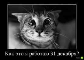 Расписание на декабрь: 31 шаг к счастливому новому году
