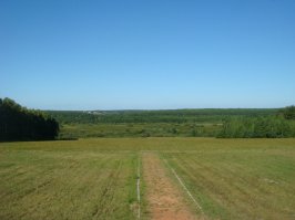На Березине творился просто ад!Как с нашей так и с Французкой стороны - эта была просто жесть!По виасат хистори показывали очень хороший цикл передач про эту переправу.Я думаю, что такая мясорубка (где людей просто "клали" как мишени в тире) в истории новейшей истории повторилась только во время второй мировой войны.
