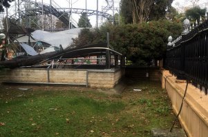 ЧП в парке Ривьера. Упавший кипарис повредил навес подземного перехода.