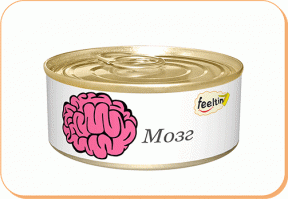 Предметы, которые помогут вам выглядеть интеллектуалом в глазах окружающих