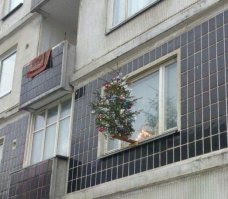 Пост о тех, кто не выбросил ёлочку с прошлого Нового года