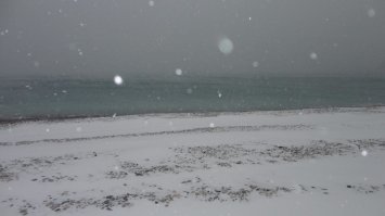 тю разве это какой то нонсенс . вот фотки из Сочи и Лоо 2011 или 12 года не помню уже
