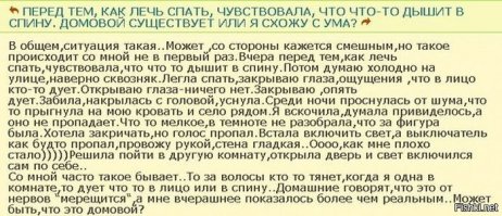 Дневник домового