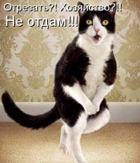 Хитрый дед