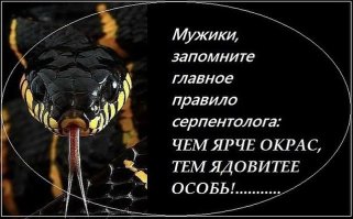 Воскресенье — день трагичный!