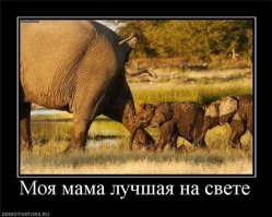 Когда мимимиметр зашкаливает