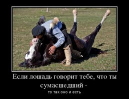 Воскресенье — день трагичный!