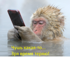 Сезон купания японских макак в горячих источниках открыт, и это невероятно забавно