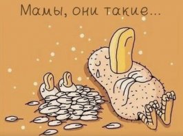 все правда)))))