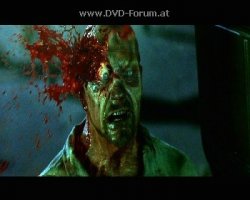 <span style='color:gray'>[мат]</span> макака, чурка примитивная! Он еще смеет хамить и голос повышать. После просмотра видео, возникло дикое желание этой тупой твари в рожу выстрелить! Кем они себя возомнили, эти макаки?!