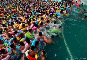 Сезон купания японских макак в горячих источниках открыт, и это невероятно забавно