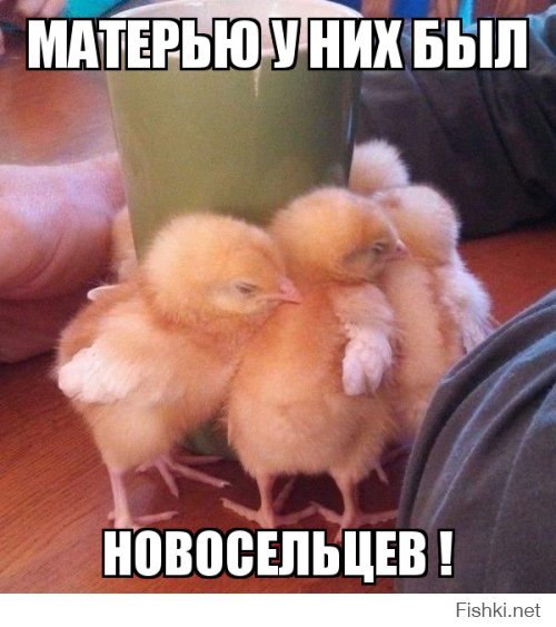 Когда мимимиметр зашкаливает