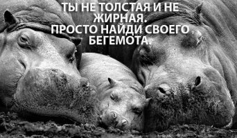 Когда мимимиметр зашкаливает