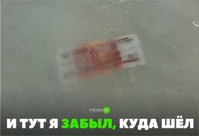 появился новый смысл жизни на час-другой