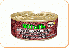 Ловля сазана зимой