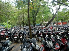 Видел всё это и сам ездил по Сайгону в этой толпе. Там все на мопедах. Рядом с одной стороны может ехать девушка видно что из офиса - туфельки-юбочка-блузочка и с другой стороны два работяги со стройки на заляпаном мопеде оба чумазые и тот что сзади держит в руках какую нибудь крупногабаритную хрень. Верхом виртуозности которую я видел стал чувак, который одной рукой рулил, а в другой держал поднос на котором стояли тарелки с супом!