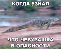 На сколько лет сядет крокодил Гена?
