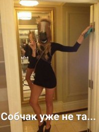 Фотоподборка за 05.12.2016